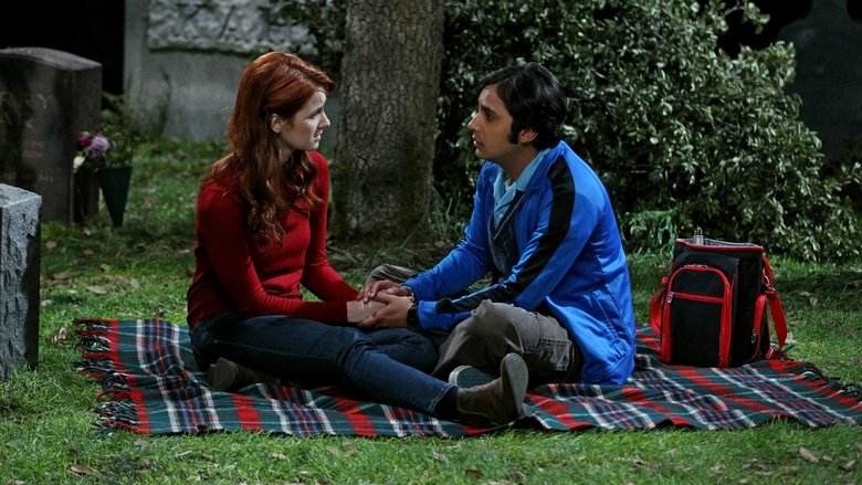 Сериал Теория большого взрыва 8 сезон 24 серия онлайн